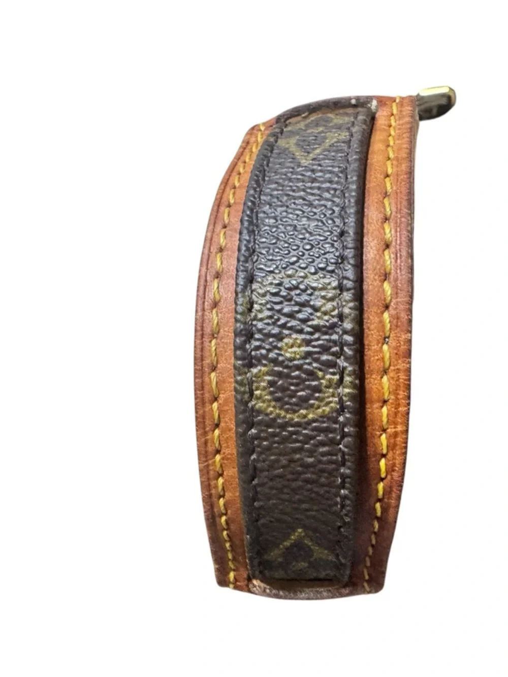 Louis Vuitton iconic louis